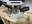 IMG_9427.jpeg