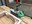 IMG_9430.jpeg